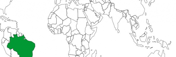 Figura do Mapa-mundi com o Brasil destacado em cor verde.